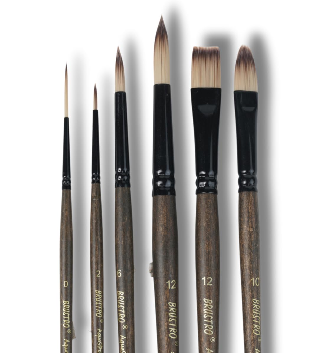 AquaStrokes Brush (Set of 6)